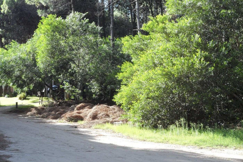 Imagen 2 de 5 de Lote En Venta - Pinamar, Zona Norte Tennis / Ref: 1446