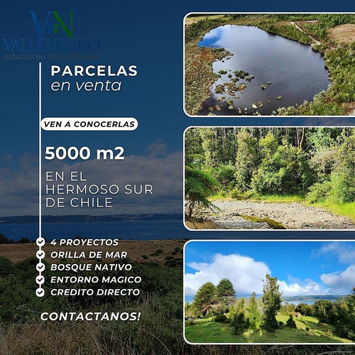 Pto Montt / Calbuco / Chiloe
