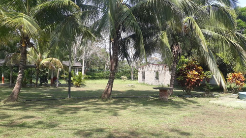 Imagen 7 de 10 de Venta De Granja En Torunos