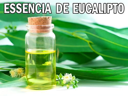 Essencia De Eucalipto Para Sauna 5l Vapor Quente