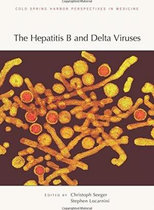 Libro Hepatitis B And Delta Viruses - Phd Christoph Seeger