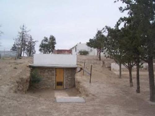 Imagen 6 de 10 de Campo - Biedma