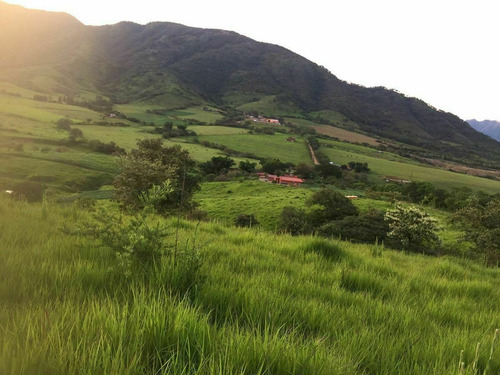 Imagen 21 de 23 de Rancho Las Buganvilias! Dream Opportunity!