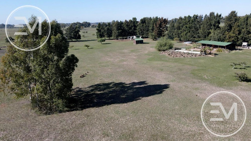 Venta Cabaña Sobre Gran Fracción De 4 Lotes Presidente Perón