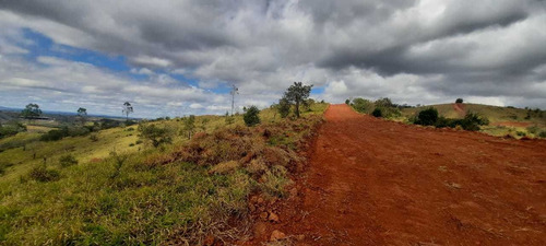 Imagem 6 de 14 de E11- Lotes Com Documentação