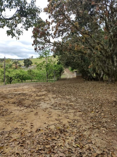 Imagem 25 de 30 de Chácara Para Venda - Figueira Grande, Santa Branca - 10000m² - 2579