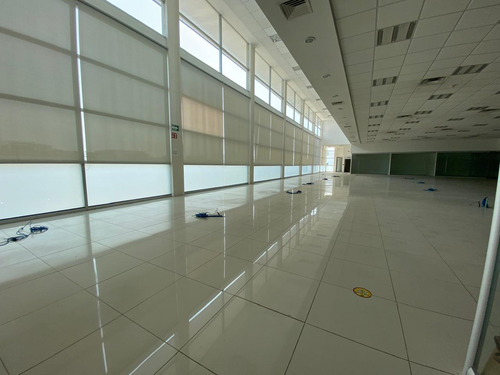 Oficinas En Renta En Tabasco 2000 Villahermosa Tab