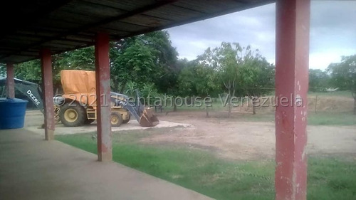 Imagen 7 de 14 de Venta De Granja Avicola En El Zulia Para Inversionistas