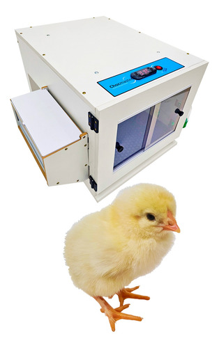 Criadeira Para Pintinhos E Aves Exóticas 1 Módulo Chocmaster