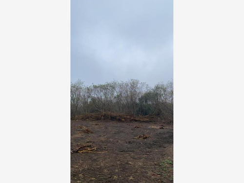 Imagen 5 de 12 de Terreno En Venta Ciudad General Terán