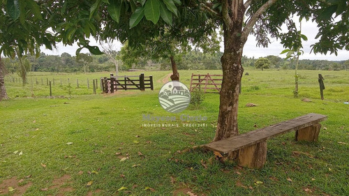 Imagem 7 de 8 de Venda Sítio Ariquemes Em Rondônia - Siv317
