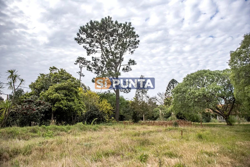 Casa En Punta Del Este, Golf