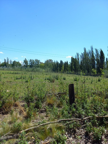 Imagen 3 de 8 de En Venta Chacra General Conesa 6 Hectareas