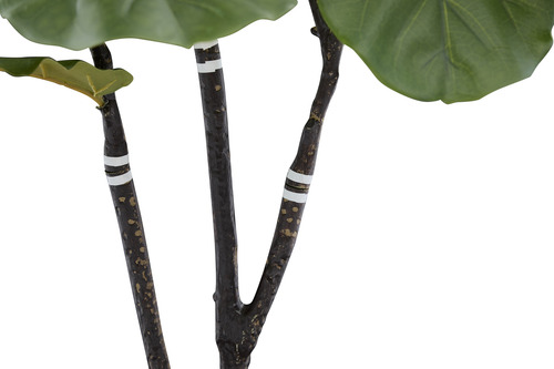 Árbol Artificial Ficus Pandurata, Planta Decorativa Hogar Sin Maceta