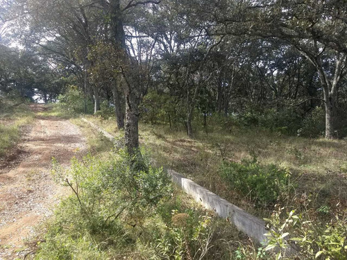 Imagen 2 de 4 de Terreno Ideal Para Casa De Campo