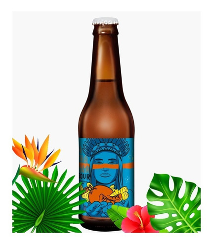 Imagem 2 de 3 de Cerveja Sour Fruit Tangerina E Gengibre 355 Ml Dama Bier