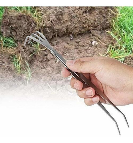 Imagen 4 de 7 de Evonecy Loosen Soil Bonsai Tree Tools, Bonsai Profesional Ro