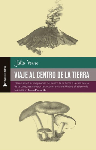 Viaje al centro de la Tierra, de Verne, Julio. Editorial Selector, tapa pasta blanda, edición 1 en español, 2019