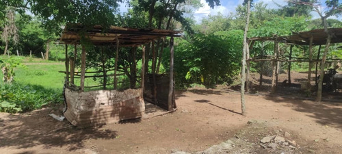 Imagen 11 de 12 de En Venta Parcela En Parapara De Ortiz