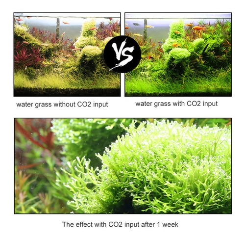 1l Sistema Generador De Co2 Kit De Co2 Acuario