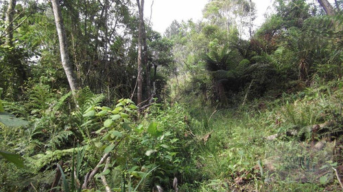 Terreno Residencial Chácaras Recanto Verde - Te0299