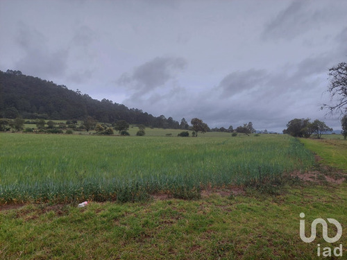 Venta Terreno 0 Ambiente Tecocomulco De Juárez