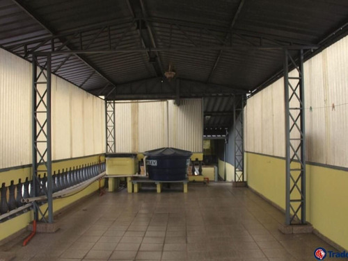Imagem 19 de 24 de Prédio, 165 M² - Venda Por R$ 485.000,00 Ou Aluguel Por R$ 2.500,00/mês - Freguesia Do Ó - São Paulo/sp - Pr0008