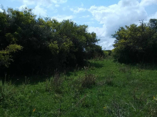 Imagen 11 de 19 de Campo En Venta - 101 Hectáreas - Pinamar