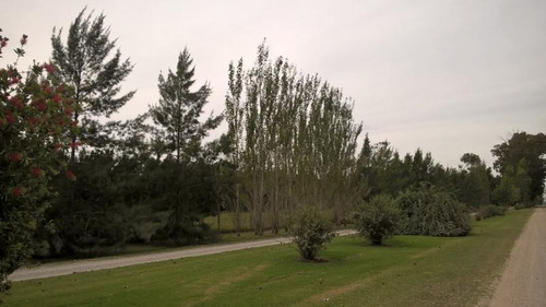 Imagen 4 de 5 de Venta Lote En Brandsen