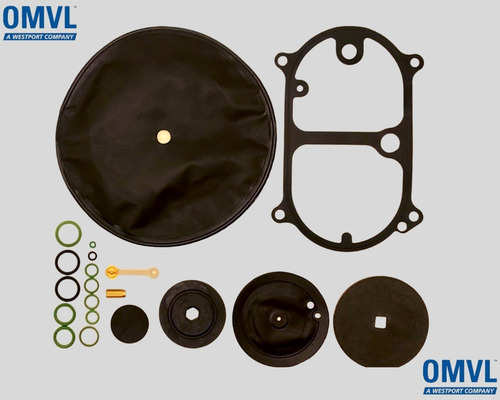 Kit Reparo Redutor Omvl R89/e + R90/e Original Gnv + Nf