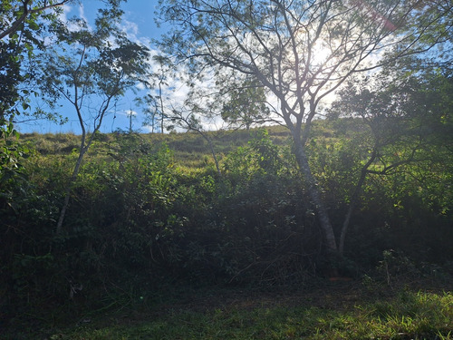 Sitio A Venda; 3.5 Alqueires De Terra No Sítio Tem Mina De Á