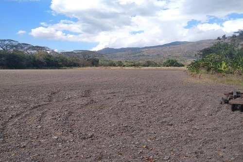 Imagen 5 de 10 de Fp Asein1608 Vende Excelente Finca De 12 Hectáreas En Montalbán Estado Carabobo