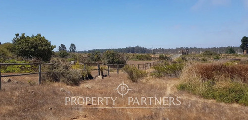 Terreno Urbanizado En Algarrobo