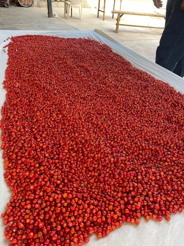 Chile Chiltepin Seco Rojo 500gr