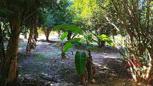 Imagem 13 de 20 de Chácara Com 2 Dormitórios À Venda, 2180 M² Por R$ 290.000,00 - Zona Rural - Barra Bonita/sp - Ch0141
