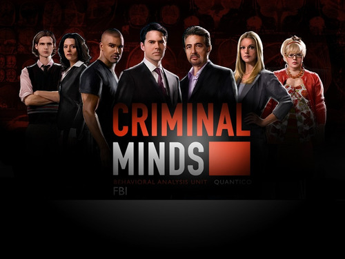 Dvd Criminal Minds - As 15 Temporadas Dubladas Com Caixinhas