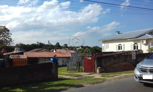 Imagem 2 de 2 de Terreno - Sao Simao - Ref: 33819 - V-33816