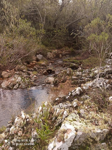 Imagen 9 de 11 de Campo En Aigua, 76 Hectáreas Con Arroyo.