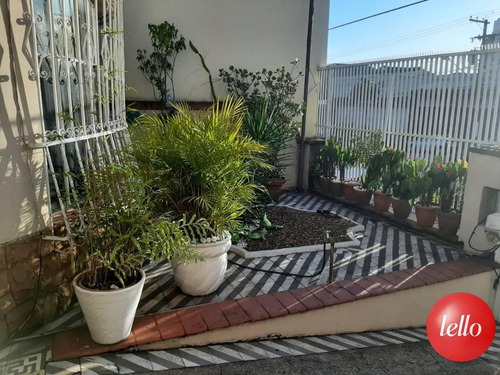Imagem 23 de 23 de Comercial - Ref: 222826