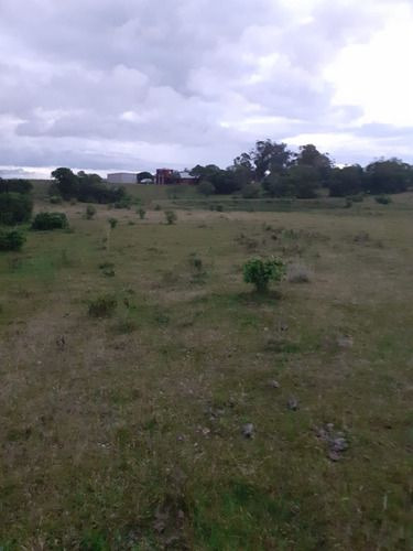 Venta De 60 Hectáreas Por Ruta 13 Paraje El Maturrango Roch (ref: Ksk-719)