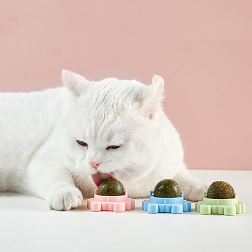 Pelota De Pared Cat Toy Kayina Catnip, 3 Piezas, Comestible