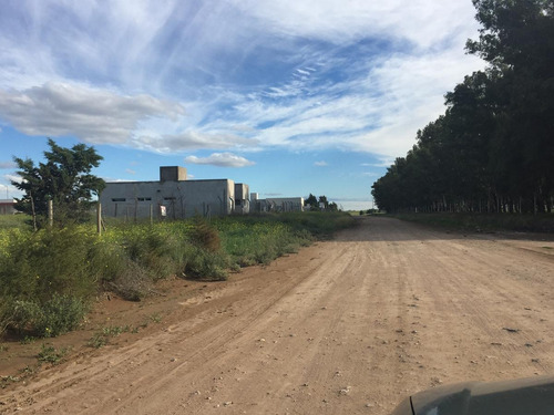 Imagen 4 de 5 de Terreno - El Maiten - Bahia Blanca