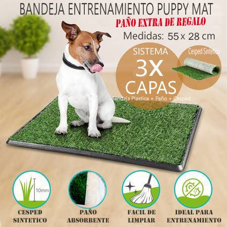 Bandeja Sanitaria Baño Mascotas Cesped Perro 55 X 28