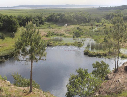 Muy Linda Chacra Ubicada Próximo A Jose Ignacio 