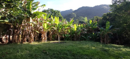 Imagen 26 de 30 de Venta De Terreno Amplio Con Bienhechurias, El Castaño Edo Aragua