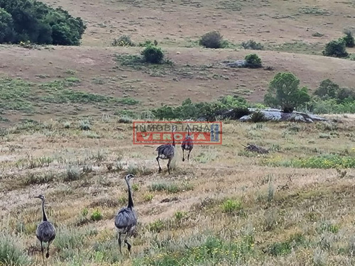 Imagen 30 de 30 de Venta Campo Ubicado En Garzón