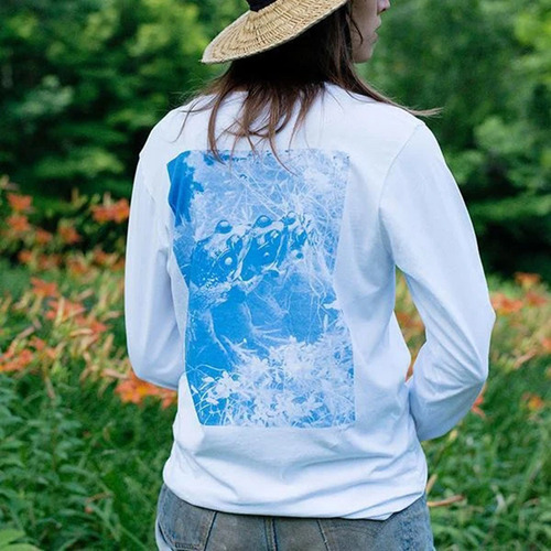 Con Cyanotype Kit Cyanotype Set Crea Un Plano O Una Imagen