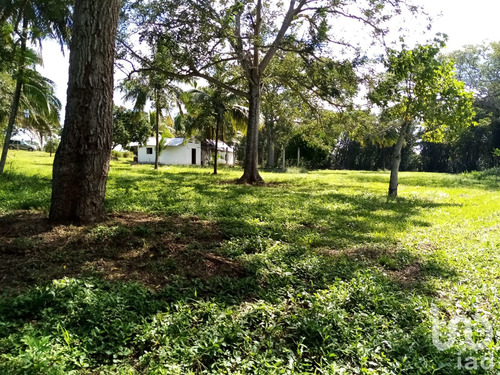 Venta Terreno 0 Ambiente Paso Del Toro