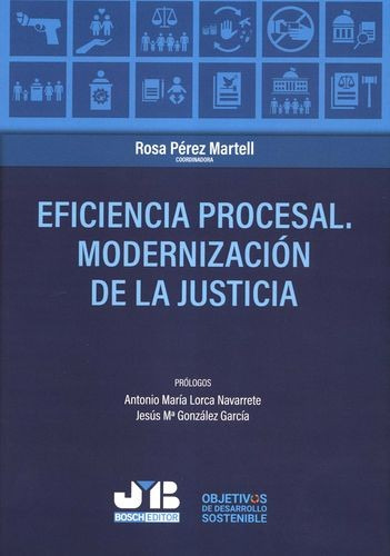 Libro Eficiencia Procesal. Modernización De La Justicia