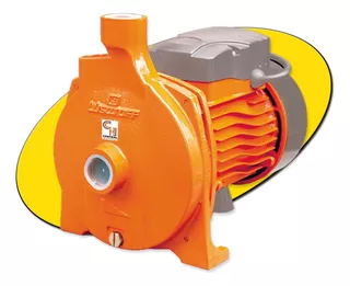 Bomba Lusqtoff Centrifuga Periferica 1hp Agua Eleva Motor